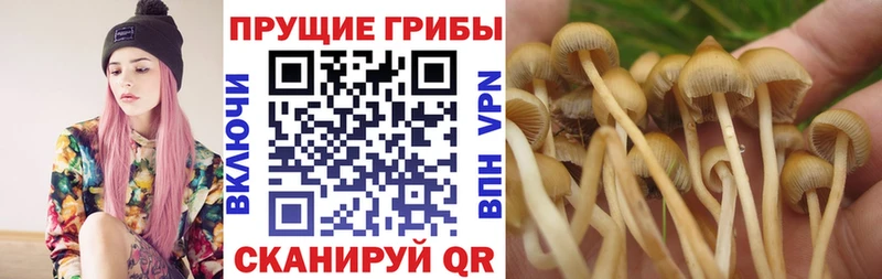 Псилоцибиновые грибы GOLDEN TEACHER  Моршанск 